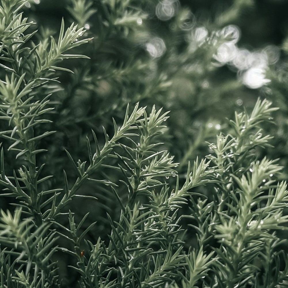 crop-1792500255634.jpg